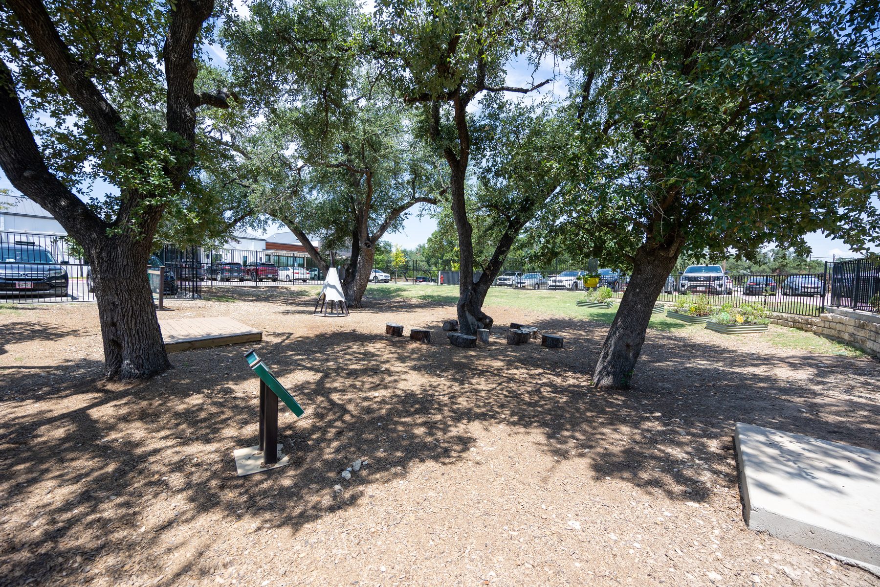 Cedar Park outdoor oak trees