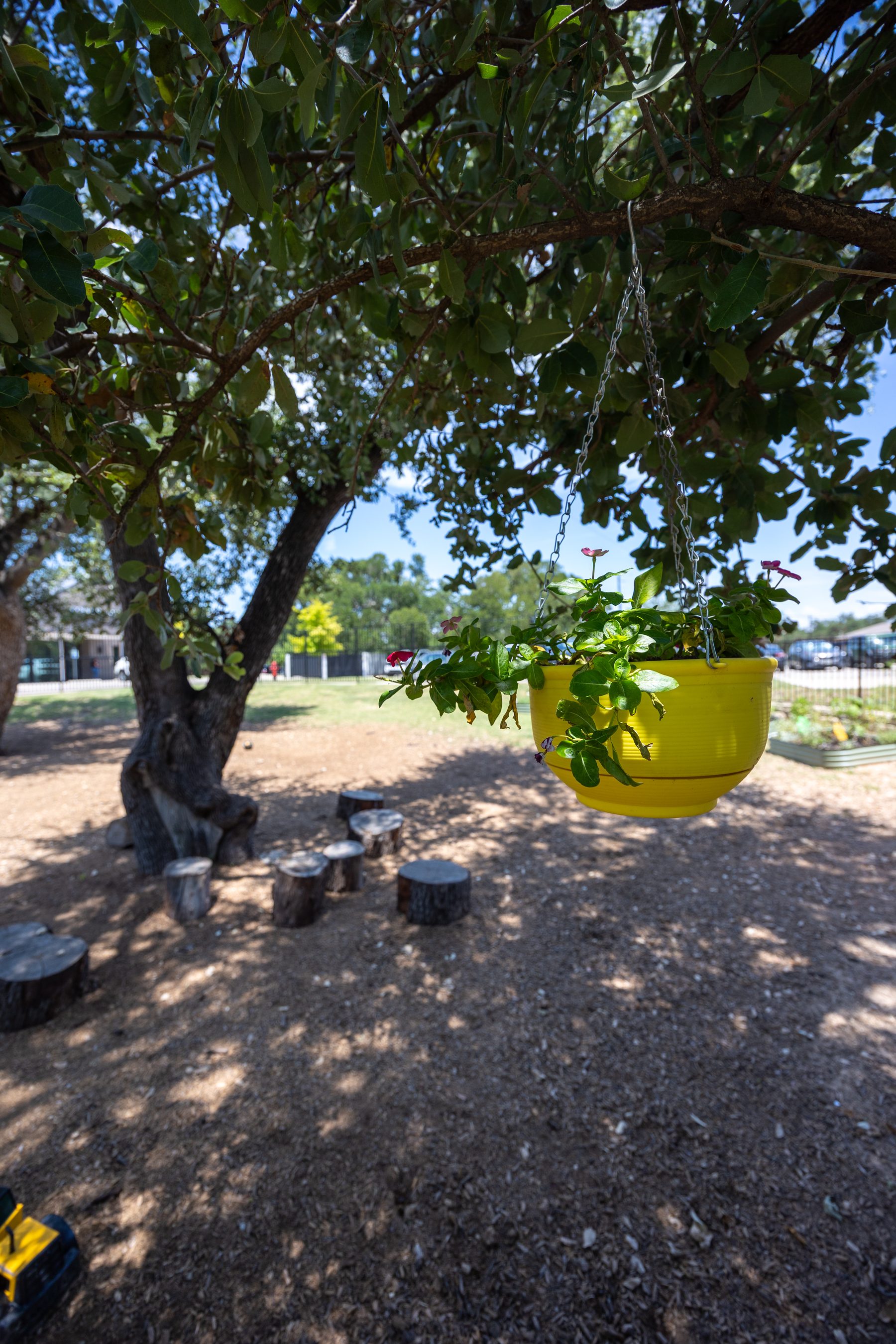 Cedar Park vegetable garden