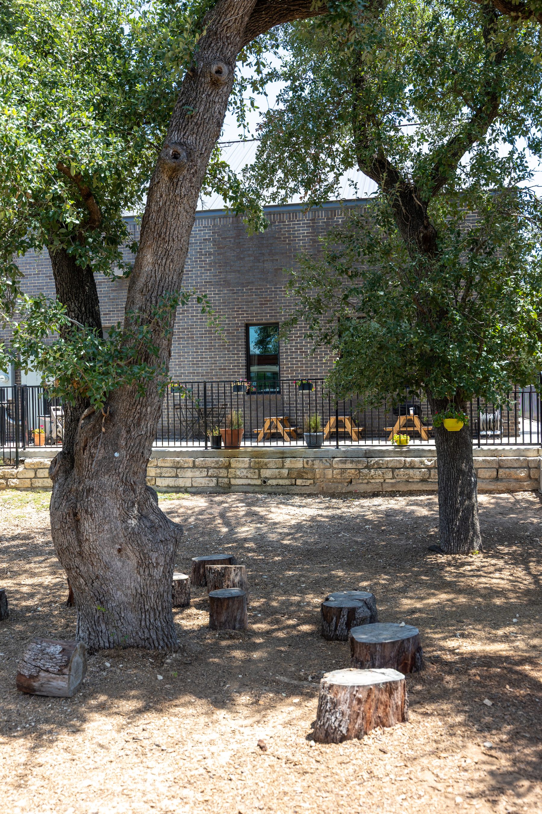 Cedar Park outdoor trees